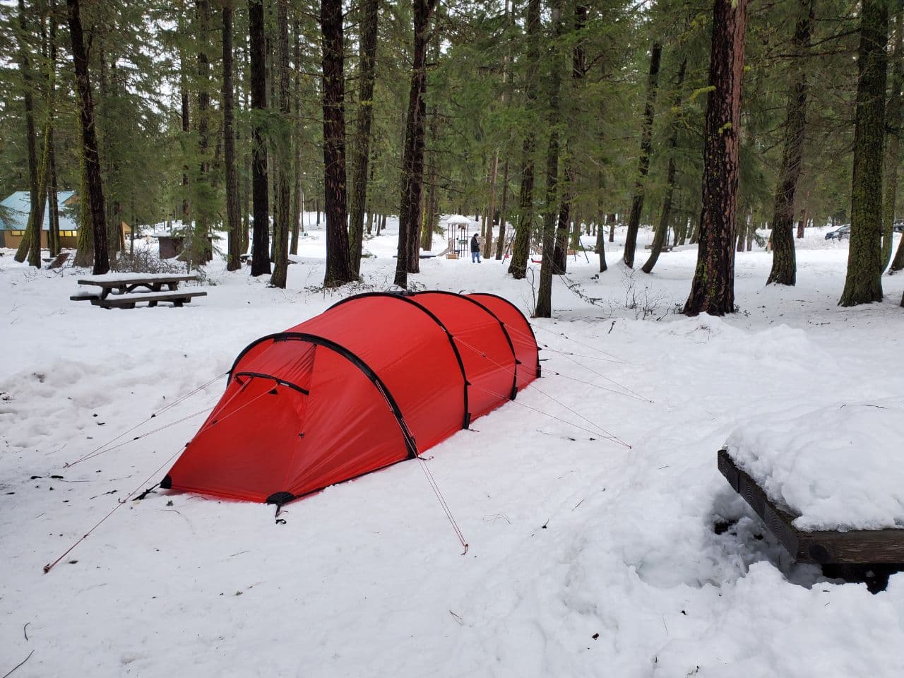 Camp at Lake Wenatchee State Park